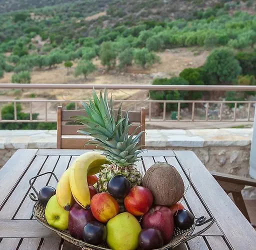 Anigraia 3* Parálion Ástros